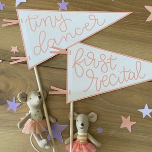 May include: Two small mouse dolls wearing pink tutus and holding pink and white pennants. The pennants say "tiny dancer" and "first recital".