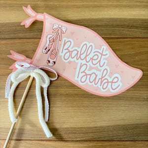 May include: Pink and white paper banner with the text "Ballet Babe" and a drawing of ballet shoes. The banner is attached to a wooden stick with white and pink ribbon.