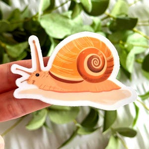 Snail Clear Vinyl Laptop Sticker 3x2in.