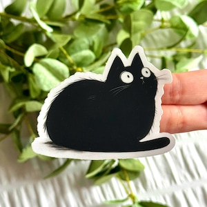 May include: A black cat sticker with a surprised expression. The cat has large, wide eyes and a white outline. The sticker is held against a background of green leaves and a white surface.