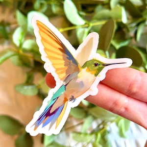 Hummingbird Clear Vinyl Waterproof Sticker 3 x 3 in.