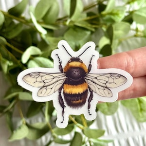 May include: A white sticker with a detailed illustration of a bumblebee. The bumblebee has black and yellow stripes, brown eyes, and translucent wings.