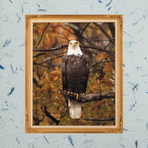 "Herbst Adler, dies ist eine Kreuzstichkarte mit vollständiger Abdeckung, die mit ""Pattern keeper"" kompatibel ist."