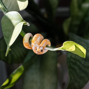 Op de afbeelding: Een kleine, oranje en witte keramische slangenfiguur gewikkeld rond een groene plantenstengel. De slang heeft gedetailleerde gelaatstrekken en staat tegen een achtergrond van groene bladeren en een vage achtergrond.