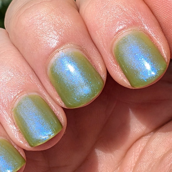 Plankton, 15ml 21-free Indie Nail Polish, Sage Green Jelly with Cobalt Blue Shimmer