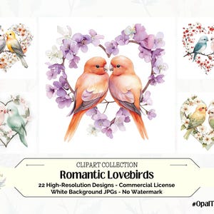 Pombinhos românticos Valentine Love Clipart Aquarela Pássaro Arte Floral Desenhos de galhos Doces Gráficos de pássaros Coroas em forma de coração Arte de casamento PNG