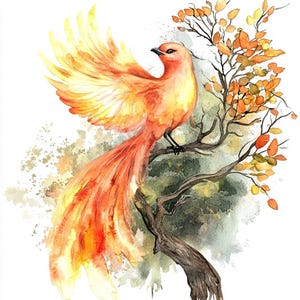 Phoenix Floral Illustrations, Enchanting Mythical Bird Art, Fantasy Decor, Elegant Craft Designs, Home Decor, 20 JPG Clipart Collection