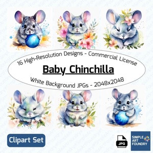 16 Baby Chinchilla Clipart | Watercolor JPG | Cute Rodents for Scrapbooking & Journaling