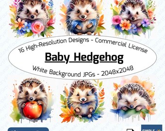 Watercolor Baby Hedgehog Clipart | Autumn Theme (Digital JPGs)