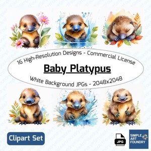 16 Baby Platypus Clipart | Cute JPG Platypuses | Watercolor Animals for Scrapbooking, Journaling
