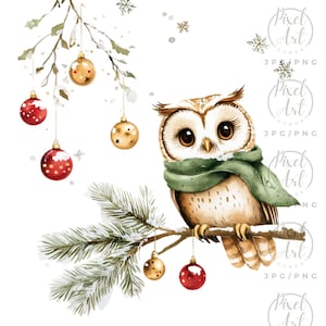Christmas Owl Clipart PNG/JPG, 24 Festive Holiday Owls with Scarves, Reading Books, & Gifts, Cute Winter Owl Art, Holiday Digital Designs