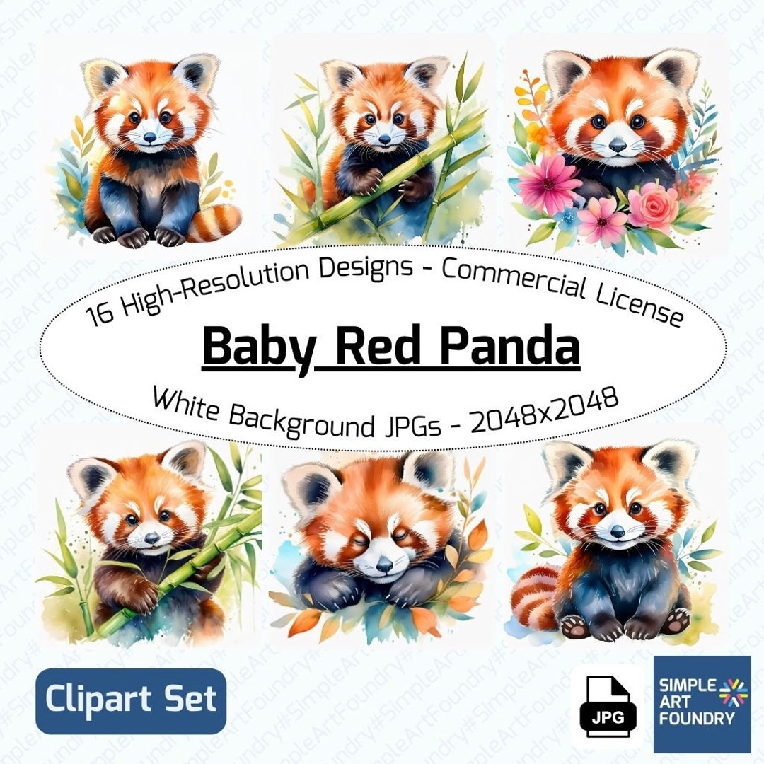 16 Baby Red Panda Clipart | Watercolor JPG | Cute Animals for ...