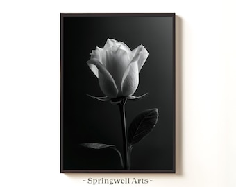 Czarno-biały wydruk z różą, artystyczna fotografia kwiatowa (do pobrania w wersji cyfrowej)