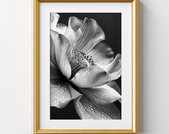 Monochrome Floral Photography, Black and White Botanical Art Print, Minimalist Flower, Chic Bedroom Decor, Digital Download Printable Art