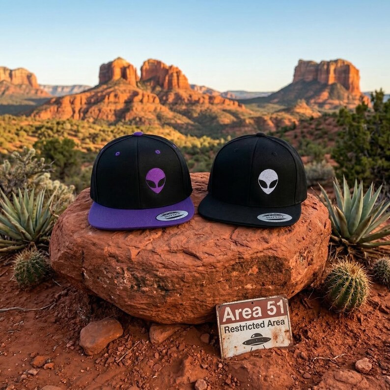 Embroidered Alien Face Hat Two Tone Snapback Cap UFO Alien Head ...