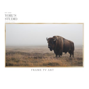 May include: A framed photograph of a brown bison standing in a field of tall grass. The bison is facing to the left and the background is a foggy, misty landscape. The frame is a simple, light wood.