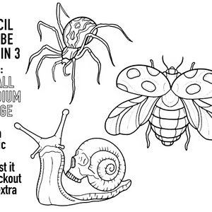 Pode incluir: Estênceis a preto e branco de uma aranha, uma joaninha e um caracol com uma concha em forma de caveira. O texto indica que os estênceis estão disponíveis em tamanhos pequeno, médio e grande. Tamanhos personalizados mediante pedido.