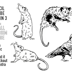 Può includere: Illustrazioni in bianco e nero di un ratto, un opossum e un piccione. Ogni stencil è disponibile in tre dimensioni: piccolo, medio e grande. Puoi richiedere una dimensione specifica al momento del checkout senza costi aggiuntivi.