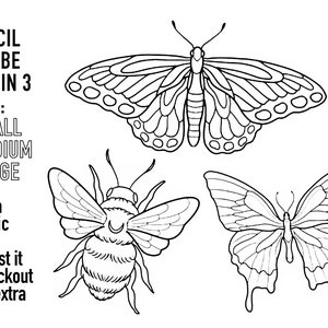 May include: Black and white line art illustrations of a butterfly and a bee. The text "EACH STENCIL WILL BE SENT IN 3 SIZES: SMALL MEDIUM LARGE Need a specific size? Request it at checkout at no extra cost!" is included in the image.