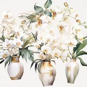 White Orchid, ORCHID FLOWERS, Orchid Clipart, orchid flowers plants, orchid flowers svg, watercolor orchid, orchid pattern, Orchid Wall Art