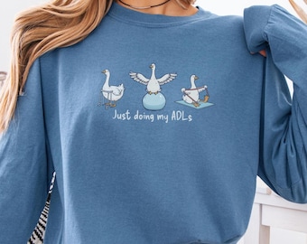 Funny Comfort Colors Physical Therapy Tshirt, Silly Goose Physical Therapist Gift, PT Shirt, DPT Tee, PTA Gift, Rehab Physical Therapist