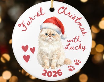 Personalized Persian Cat Christmas Ornament, Custom First Christmas, New Cat Mom, Holiday Cat Dad Gift, Keepsake Gift (26057)