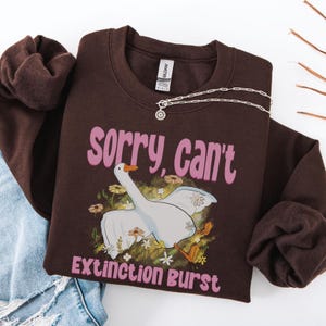 Funny ABA Therapy Silly Goose Sweatshirt, RBT Sweater, Graduation Gift for Behavior Analyst, Extinction Burst Special Education Teacher Gift