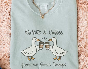 Retro Silly Goose Respiratory Therapist Comfort Colors® Shirt, RT Goose Bumps T Shirt, Respiratory Therapy Graduation Gifts, RRT RCP Gifts