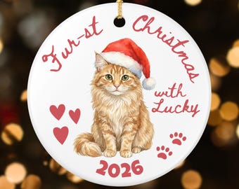 Personalized Maine Coon Cat Christmas Ornament, Custom First Christmas, New Cat Mom, Holiday Keepsake Gift (26056)