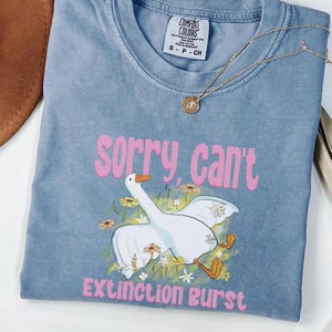 Funny ABA Therapy Silly Goose Tshirt, RBT Comfort Colors Shirt, Graduation Gift for Behavior Analyst, Extinction Special Education Teacher