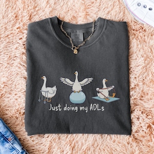 May include: Dark grey Comfort Colors t-shirt with a design of three cartoon geese. One uses a walker, another balances on a ball, and the third uses resistance bands. The text "Just doing my ADLs" is printed below the geese.