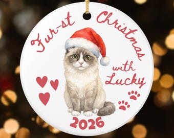 Personalized Ragdoll Cat Christmas Ornament, Custom First Christmas, New Cat Mom, Holiday Cat Dad Gift, Keepsake Cat Rescue Gift (26054)