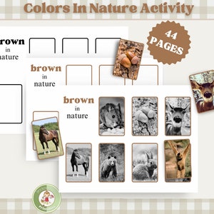 Colors in nature learning activity for toddlers, printable color sort and match game for preschool, Montessori flashcards real photos