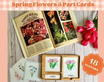 Spring Flowers Montessori Cards: Printable Nature Study (PDF)