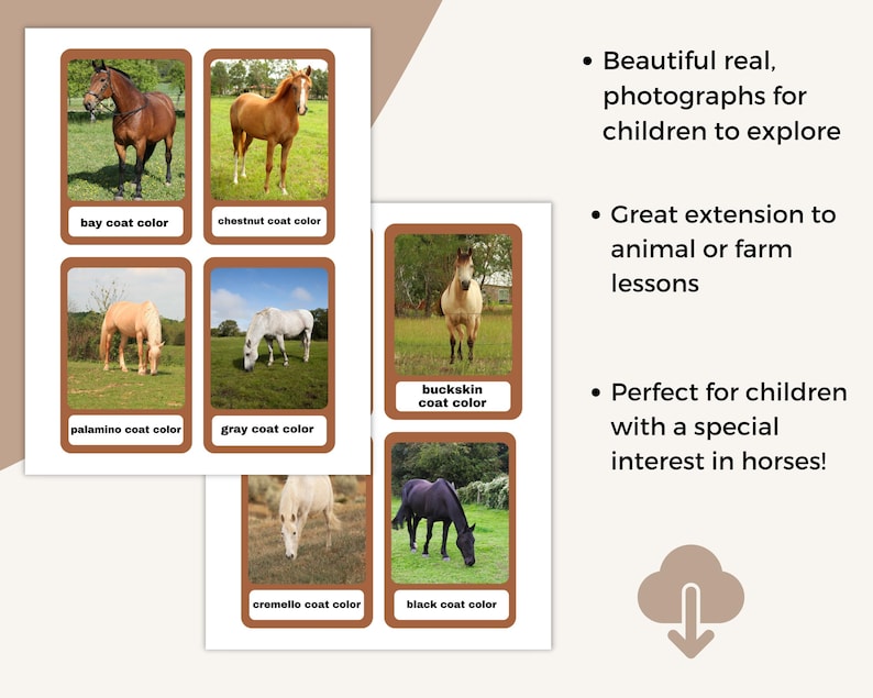 Horse Colors & Markings Flashcards: Montessori Homeschool Chart ...