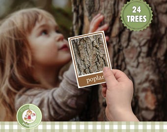 Tree Bark Identification Cards: Montessori Homeschool Nature Study (Printable)
