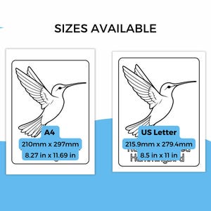 Bird Identification Cards for Kids: Winter and Spring Species, Coloring ...