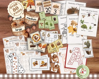 Acorn & Squirrel Preschool Printable Set: Homeschool Learning (PDF)