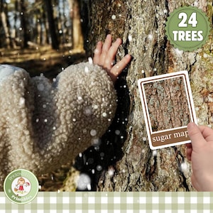 Baumrindenidentifikationskarten: Montessori Homeschool Naturstudie (druckbar)