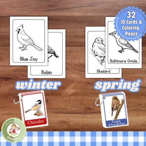 Paquete de aves imprimible; Tarjetas de identificación para niños sobre aves de invierno y primavera; 32 especies de aves con páginas para colorear; Actividad natural para la educación en casa.