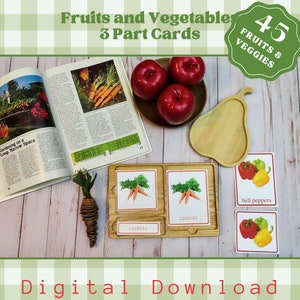 Cartes imprimables en 3 parties d'inspiration Montessori, cartes de nomenclature des fruits et légumes pour la classe préscolaire ou l'école à la maison, vraies photos