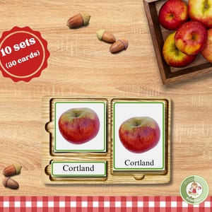 Tarjetas Montessori de 3 partes con fotos reales sobre variedades de manzanas, tarjetas de identificación de manzanas imprimibles, tema de otoño, estudio de la naturaleza para la educación en el hogar de Charlotte Mason