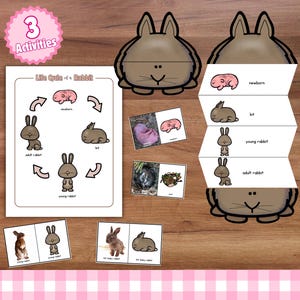 Impressions sur le cycle de vie du lapin ; 3 activités d'apprentissage de la nature pour les enfants ; programme scientifique de printemps ou de Pâques pour l'école à la maison de Reggio ; unité nature