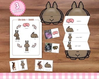 Kaninchen-Lebenszyklus Printables: Natur-Lernaktivitäten (PDF)
