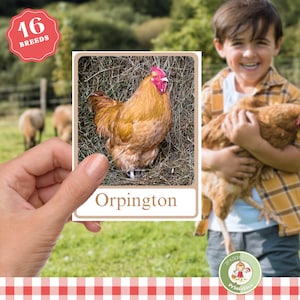 Hühnerrassen Montessori 3-teilige Karten mit echten Fotos, druckbare Geflügel-ID-Karteikarten, Charlotte Mason Naturstudie für zu Hause
