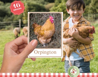 Chicken Breeds Montessori Cards: Homestead Poultry ID (Digital Download)