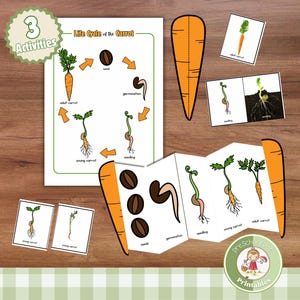 Imprimables du cycle de la carotte ; 3 activités d'apprentissage du jardinage pour les enfants ; programme de sciences de la vie pour l'école à la maison de printemps ; Unité de culture de légumes nature