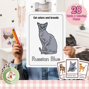 Cartes mémoire et pages à colorier imprimables sur les races de chats ; cartes d'identité aux couleurs de chat pour enfants ; étude de la nature à la maison sur les animaux de compagnie jeunes enfants