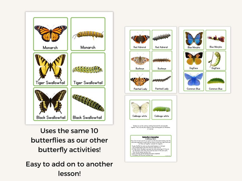 butterfly-caterpillar-matching-cards-montessori-homeschool-activity