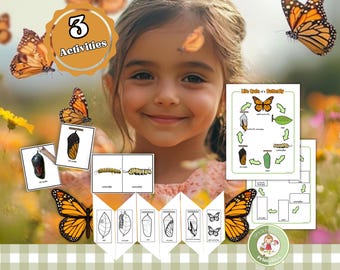 Schmetterling Lebenszyklus, Faltkarten & passende Karten (PDF)